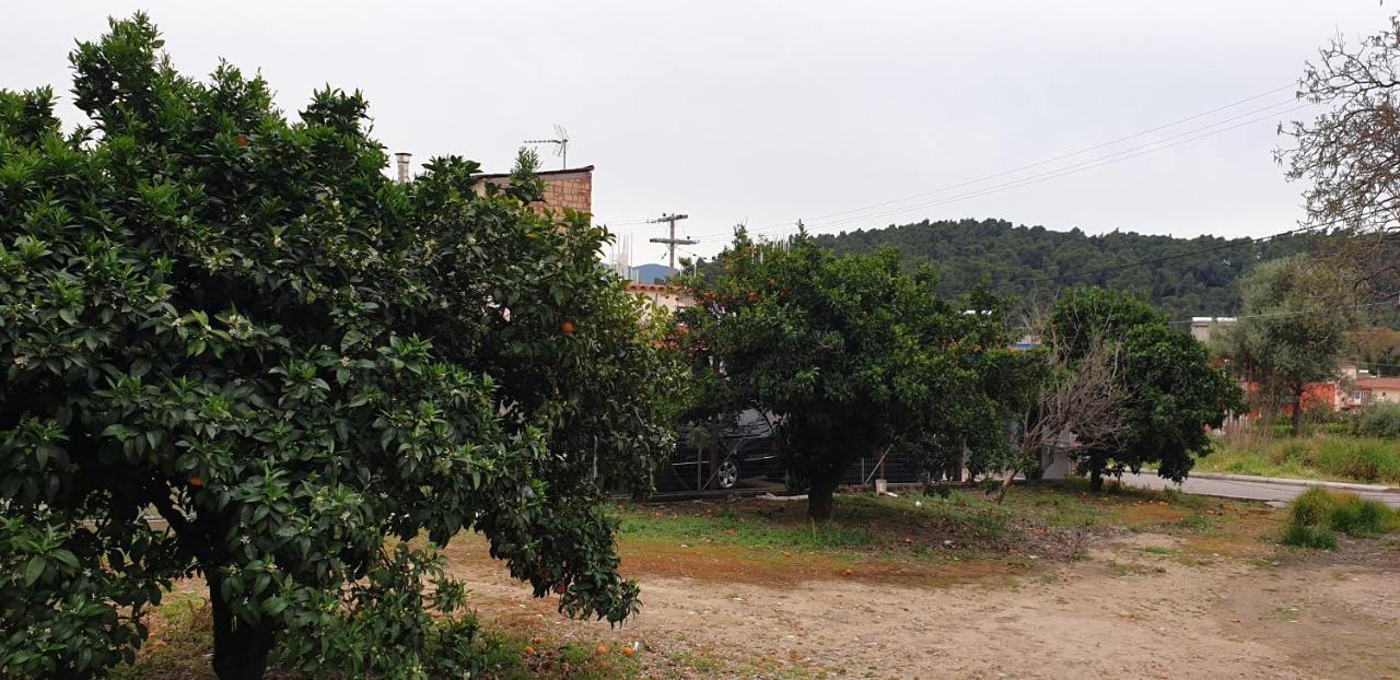 Walnut Home Apartment Near Ancient Olympia Kréstena Exteriér fotografie